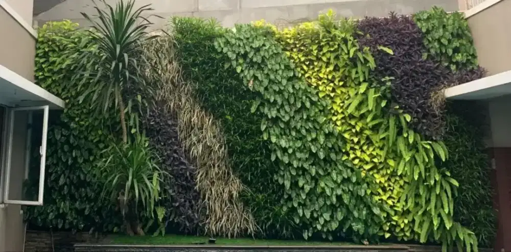 Taman dinding vertikal asri bergaransi