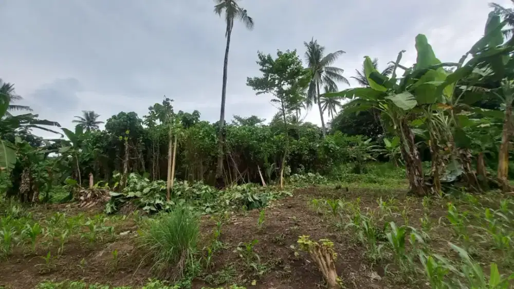 Dijual Tanah Strategis Manado