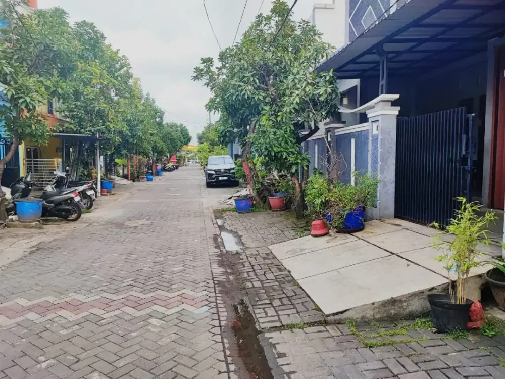 Murah dijual rumah strategis semarang utara kroboan pringgodani