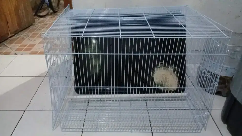 Kandang burung umbaran