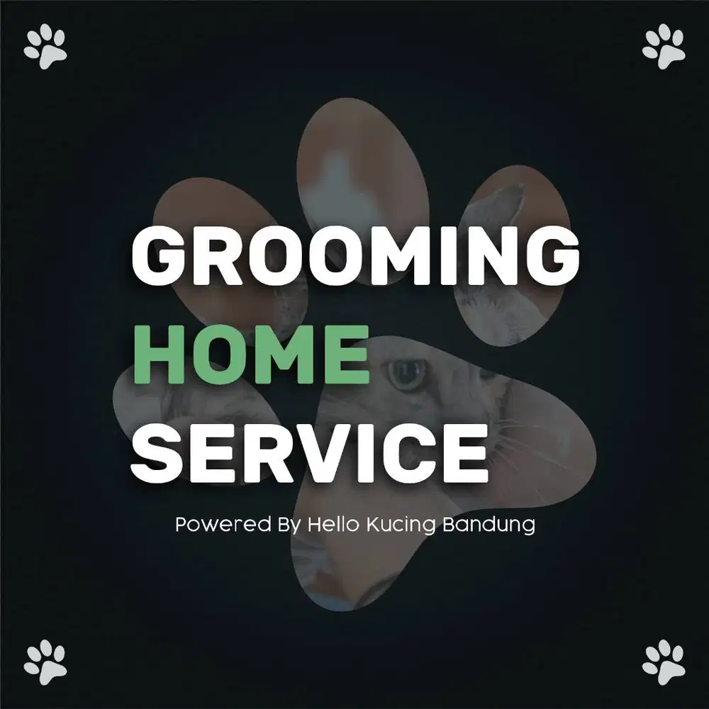 GROOMING HOME SERVICE MANDI KUCING PERAWATAN PANGGILAN
