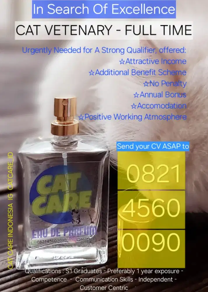 Lowongan Dokter Hewan Fulltime Khusus Klinimk Kucing