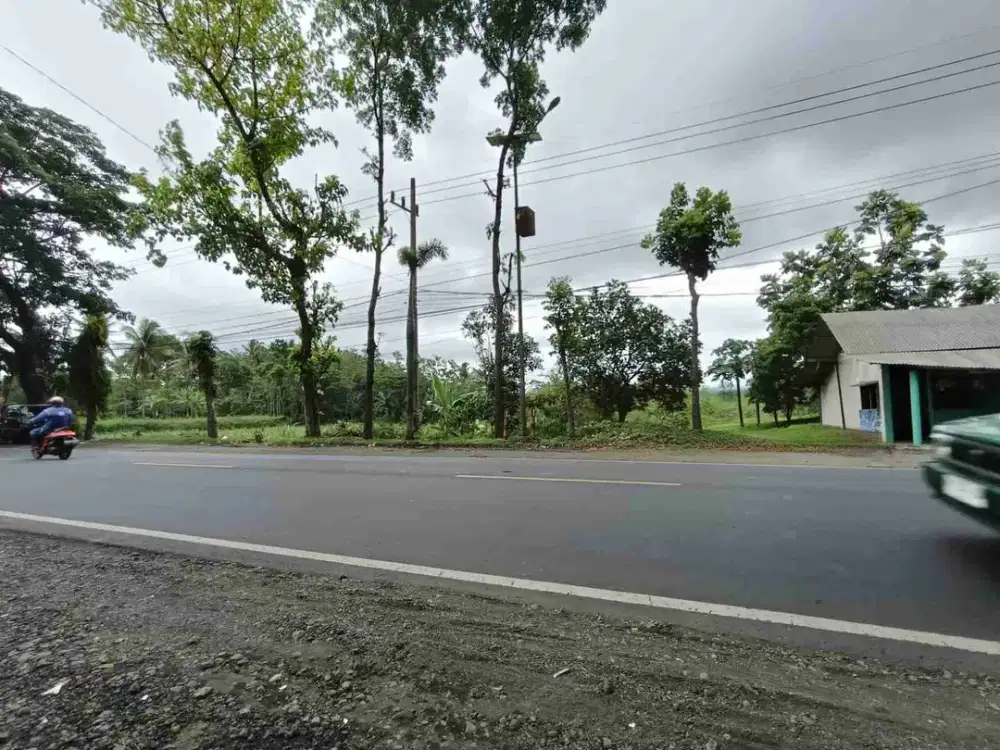 Harga BU! Tanah Pakisaji Datar, Poros Jalan Provinsi