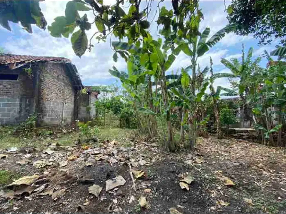 JUAL TANAH DI WIJIMULYO NANGGULAN KULONPROGO