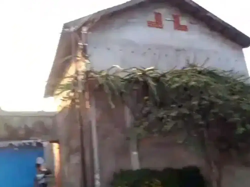 Rumah sarang burung walet jual cepat: 2 lantai, suri-suri jati, beton