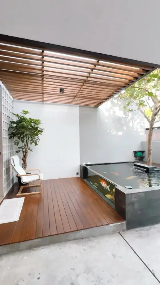 Tukang kolam minimalis ikan koii