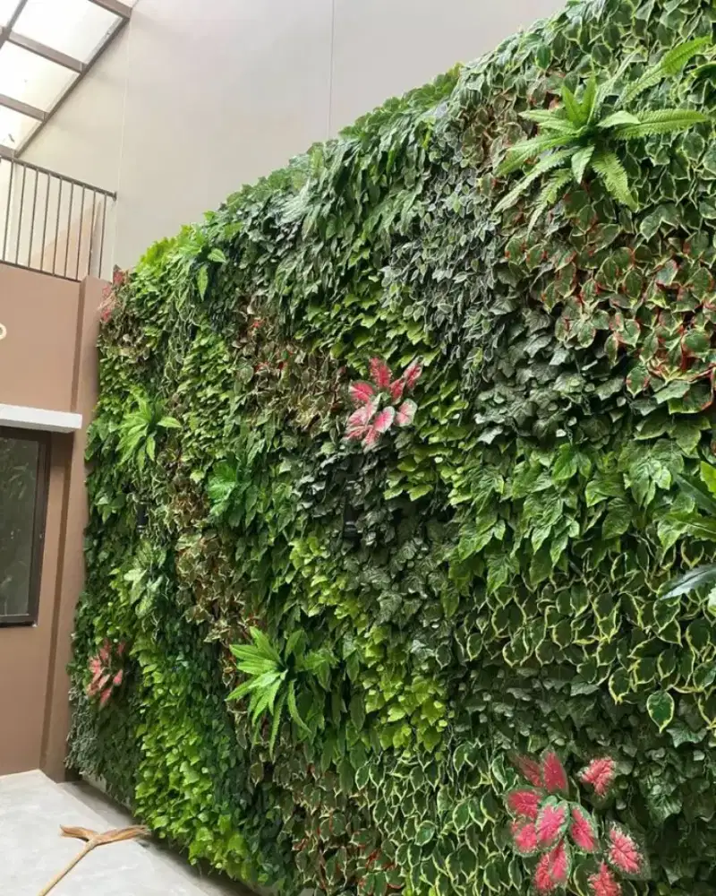 Jasa vertikal garden Cisaat Sukabumi