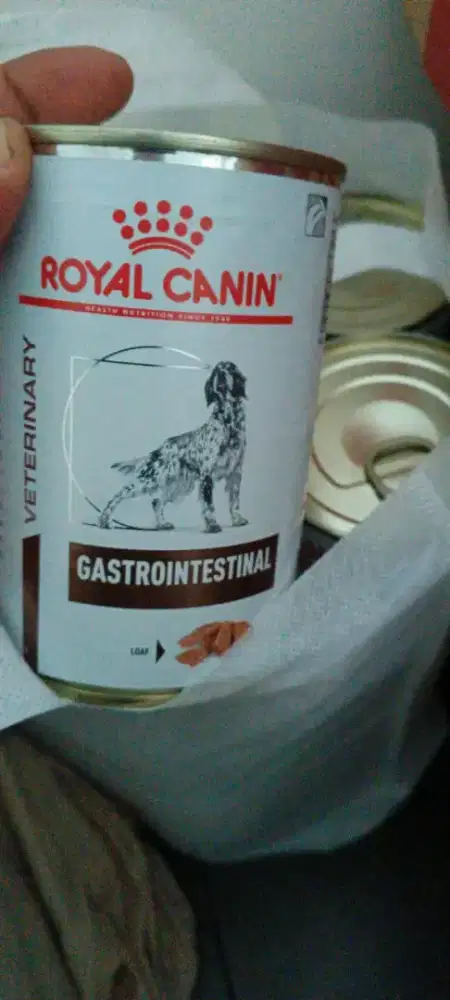 Makanan kelang anjing