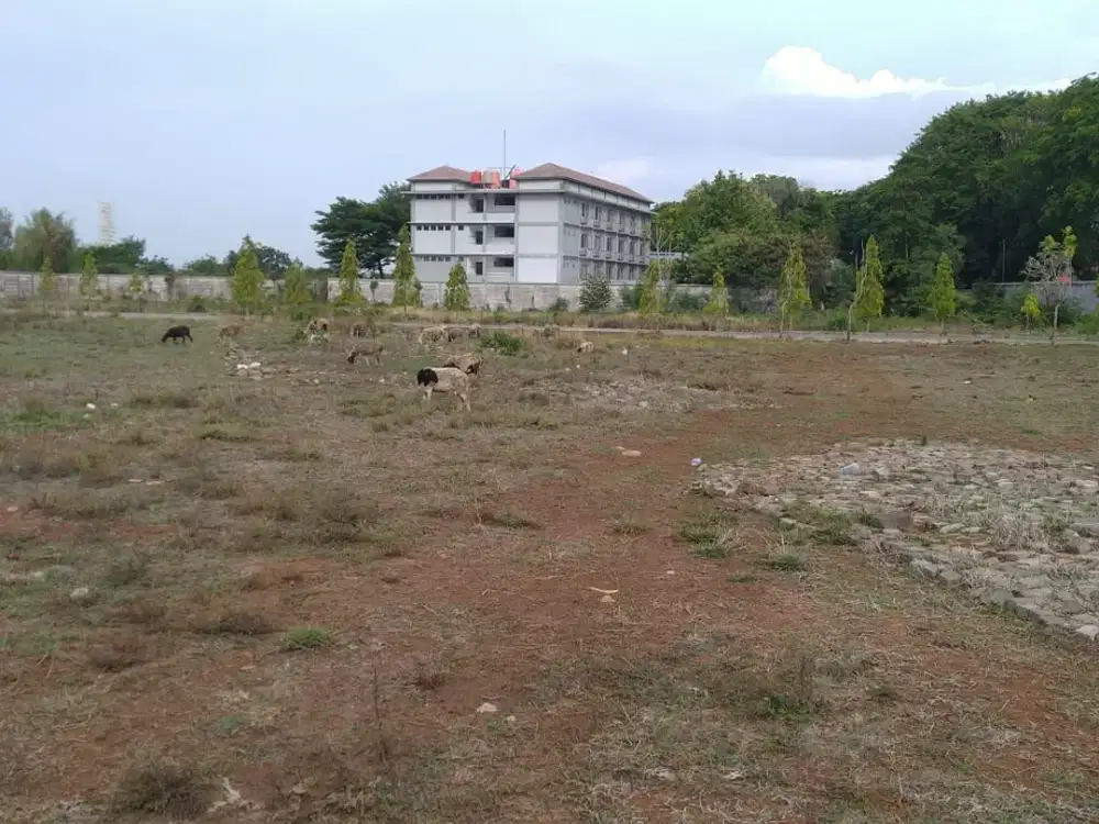 Tanah komersil cirebon dekat jl brigjend dharsono cocok komersil