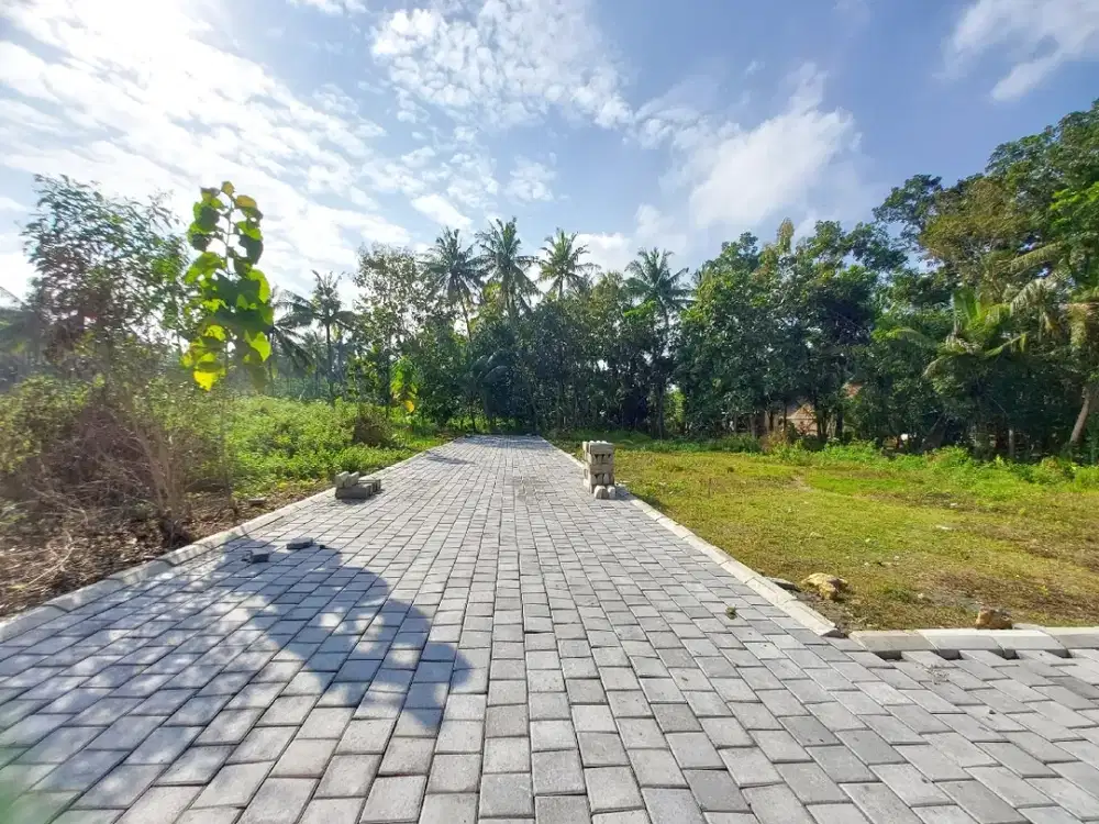 Dekat Kampus UNY Wates Tawangsari Kulon Progo