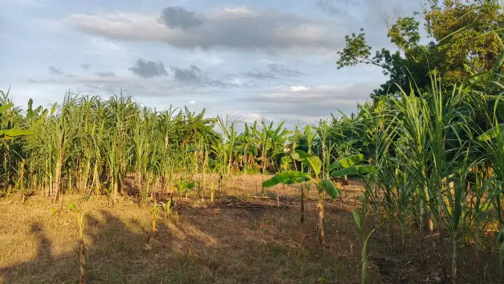 Tanah Dgn Lokasi Strategis Dijual - SHM (2209M2)