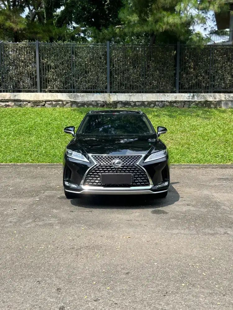 Lexus RX 300 Luxury 2019