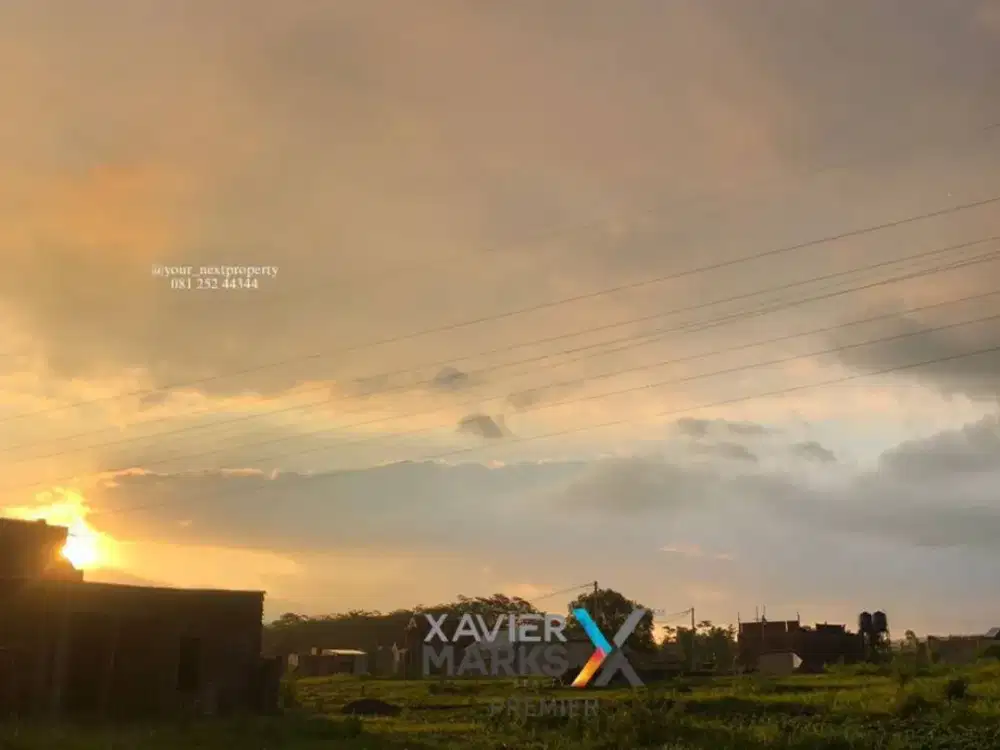 Tanah Luas Beserta Pohon Sengon Siap Panen Di Tejosari, Singosari Malang