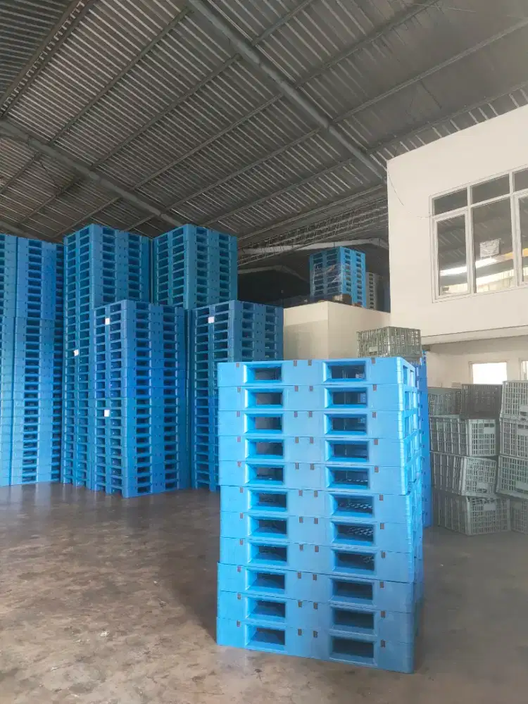 Pallet Plastik Second and New