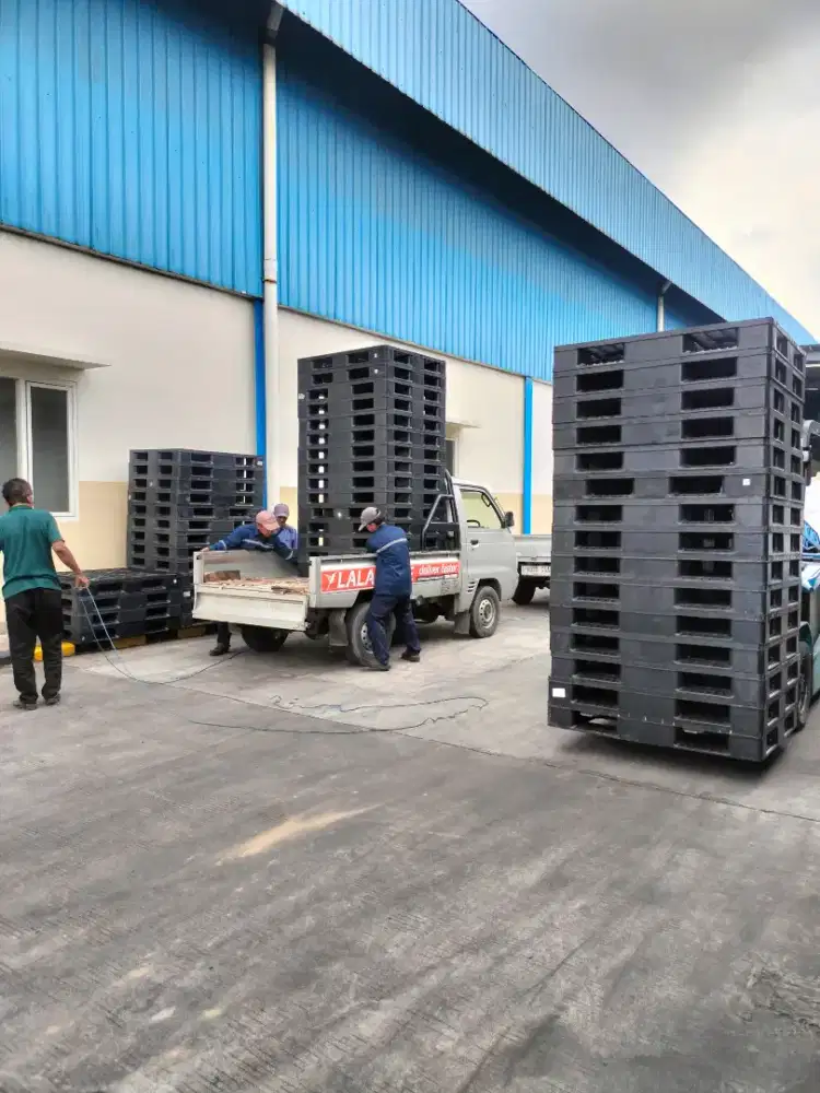 Pallet Plastik Second and New ciamik