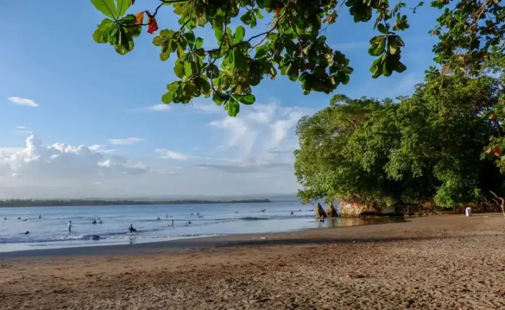 Di Jual Tanah Strategis untuk Investasi Tambak Udang dan Tempat Wisata