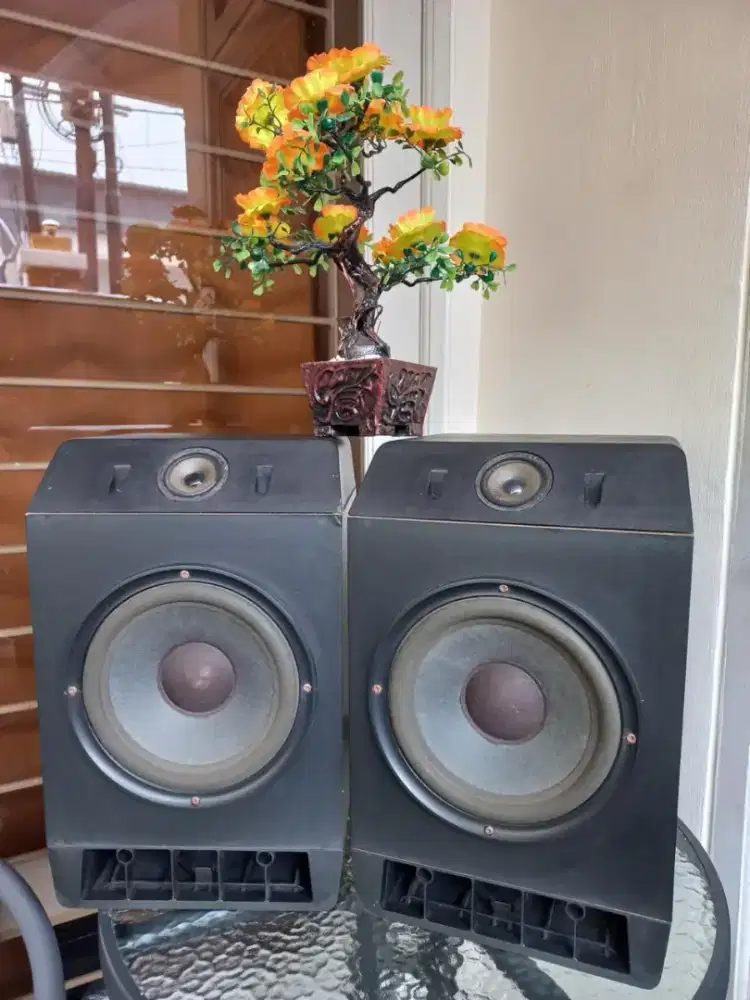 Sepiker BOSE 301 normal original