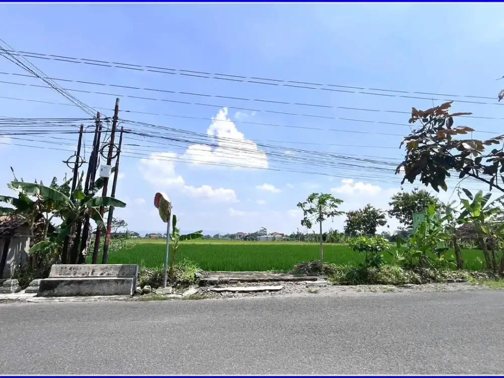 Lokasi  Strategis Dekat Kampus UNRIYO di Jl. Raya Sambiroto