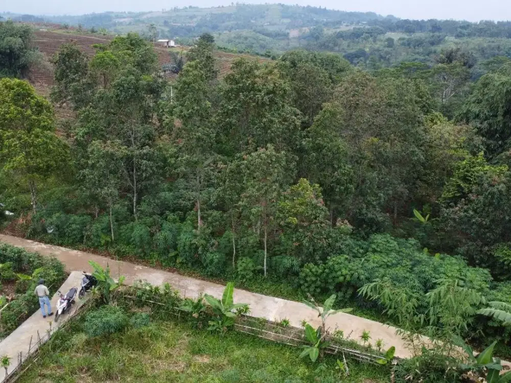 Tanah Kebun 1885 m2 Pinggir Jalan mobil Dijual Murah Bojong Purwakarta