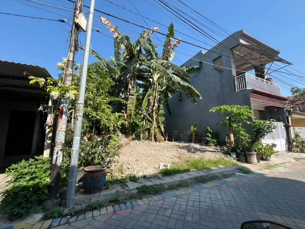 tanah kalilom surabaya