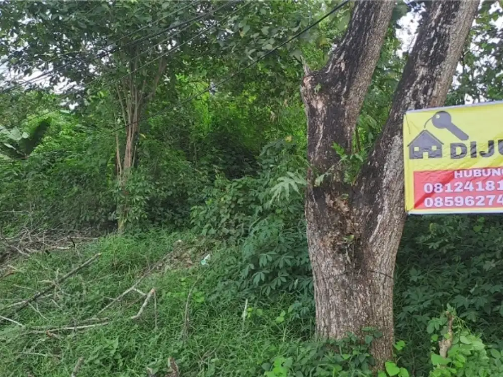 Dijual Tanah SHM km.13 4hektar