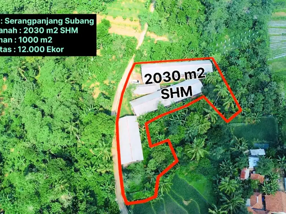 Tanah + Kandang Peternakan Ayam Masih Aktif Dijual Murah di Subang