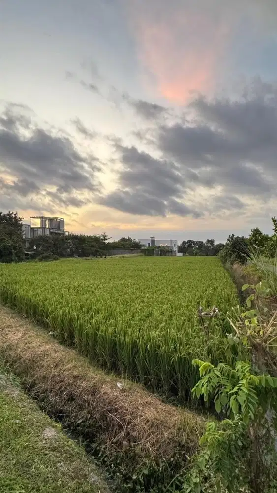 Land for SALE near Kedungu Beach