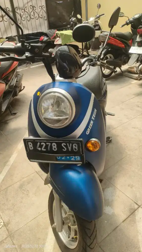 Molis greentech unity classic tt