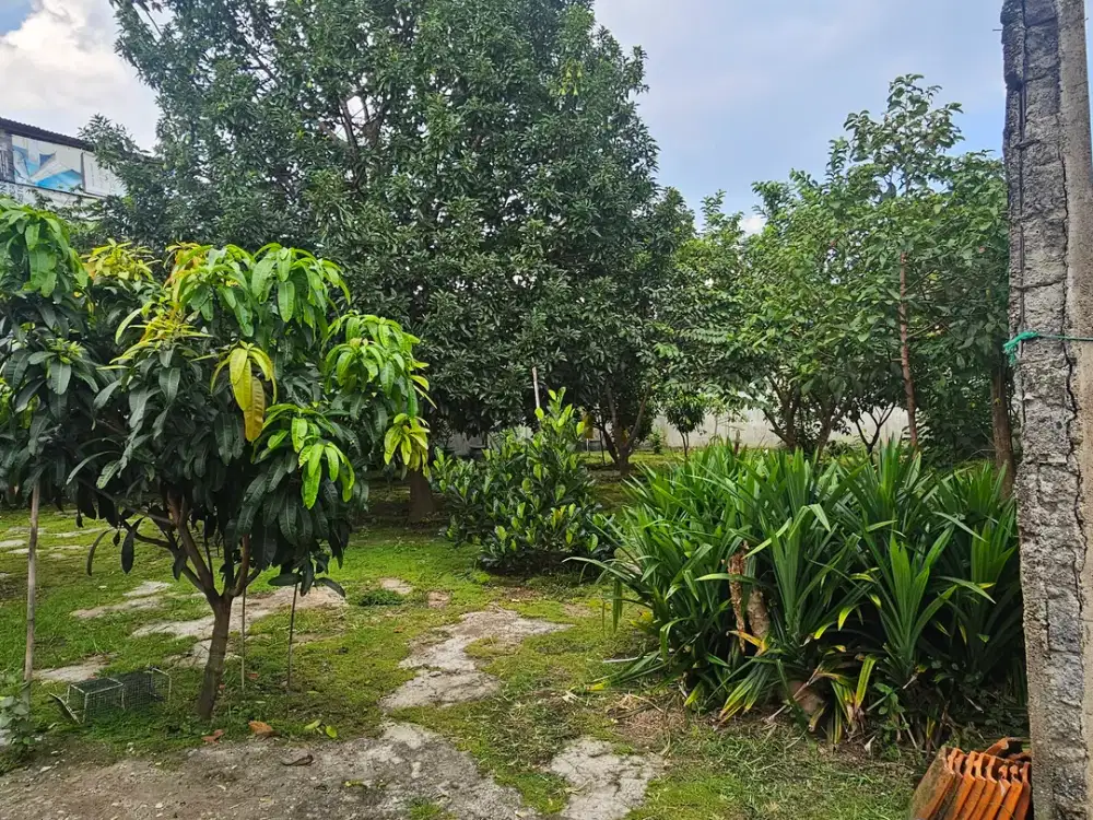 Rumah 2 Lantai Di Sukaraja Lokasi Bagus Dan Strategis