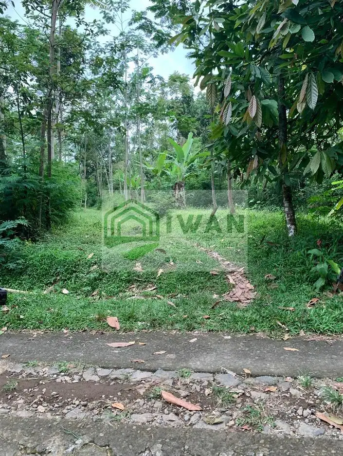 Tanah Iklim Sejuk Murah Hadap Jalan Bisa Perluasan