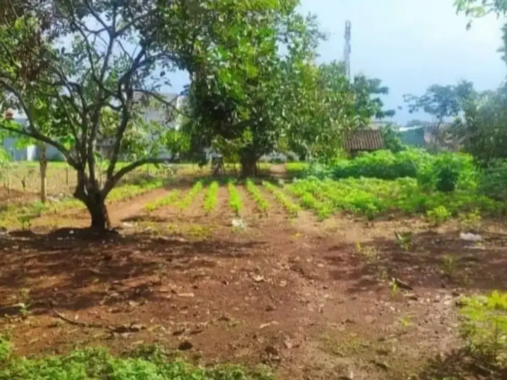 Tanah Tembalang Bulusan Undip