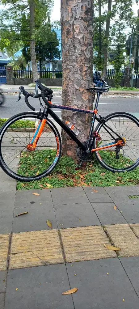 Roadbike polygon