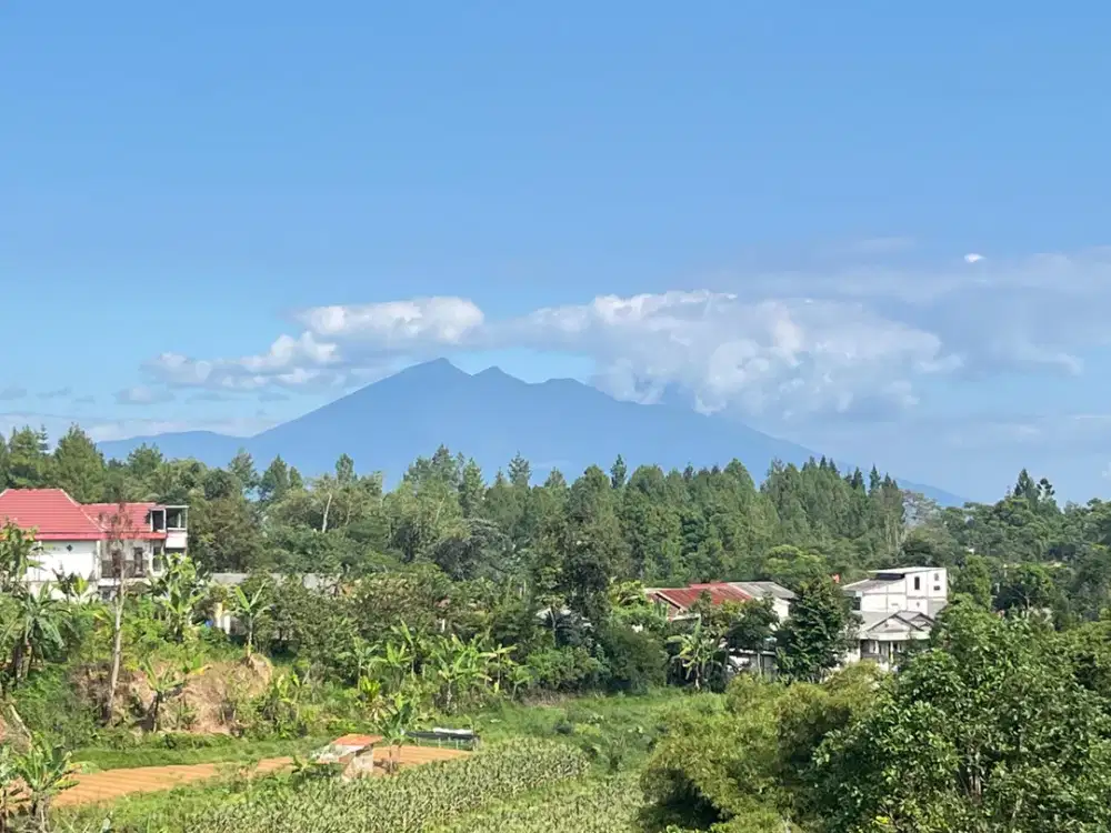 Tanah di puncak bogor luas 1700m2 dekat jalan raya