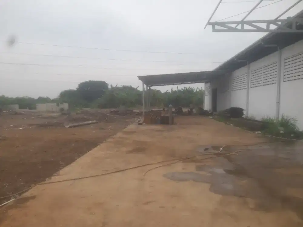 Renovasi dan Bangun Baru rumah,gudang,atau Pabrik Dll