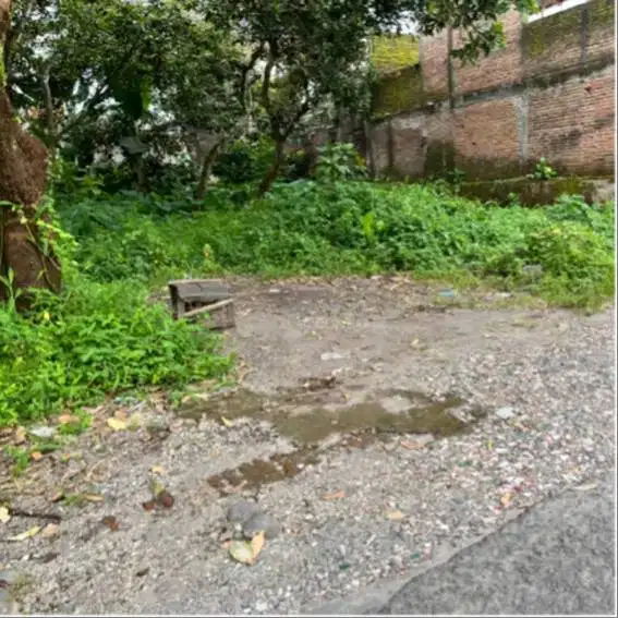 Tanah Dekat Unmuh Jember Prospek Kos Kosan