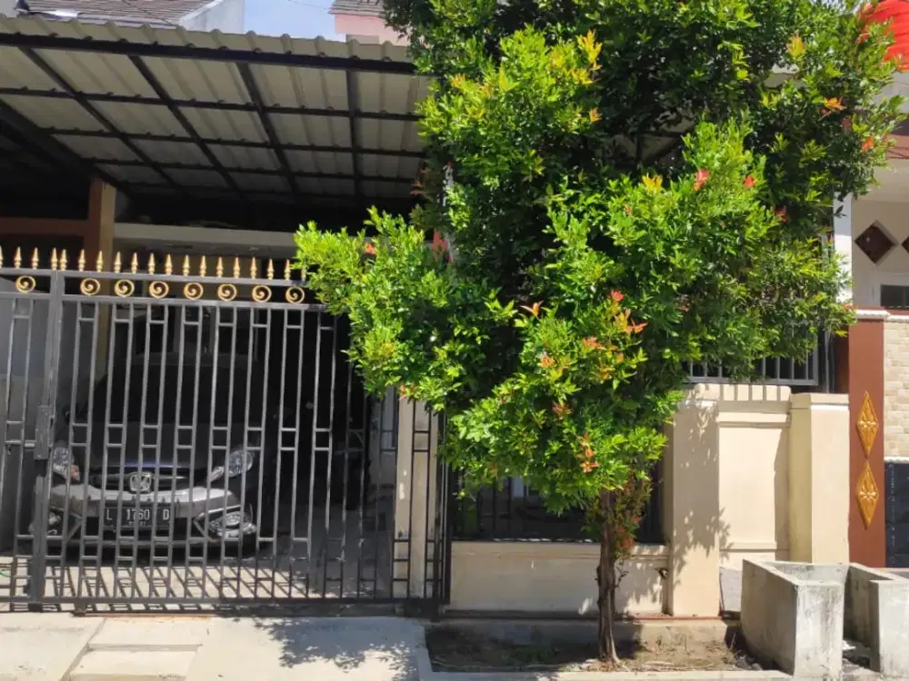 Dijual Cepat Rumah Full Bangunan di Green Semanggi Mangrove Cluster Osbornia