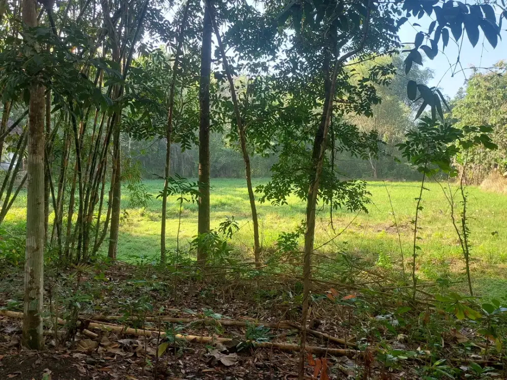 Bangunjiwo, Tanah Kasihan Bantul, Dekat Ringroad Barat