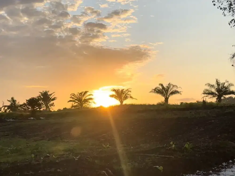 Tanah KEDUNGU siap bangun 2 KM Pantai