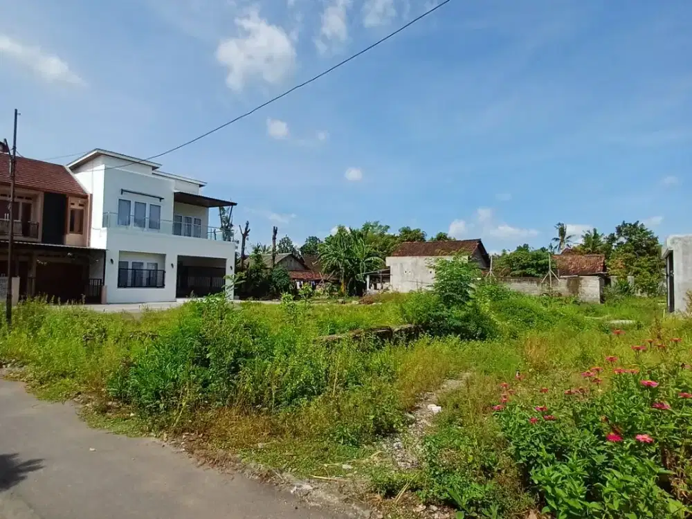 Tanah Prambanan 100 Meter Jl. Jogja Solo Mulai 3 Jutaan/m Nego