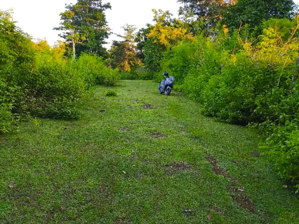 dijual tanah kawasan balangan jimbaran Kuta Selatan Badung Bali