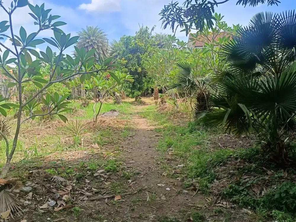 DIJUAL TANAH SERANG MURAH PINGGIR JALAN (LOPANG)