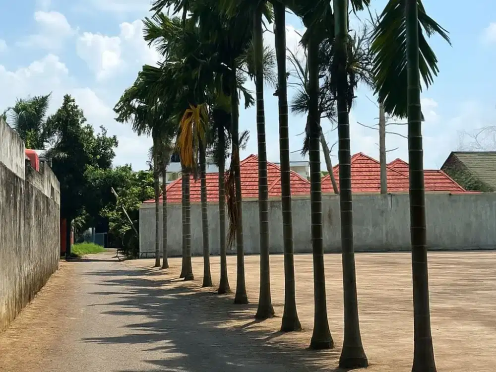 Jual Tanah 1,2 Tumbuk Mayang Kota Jambi