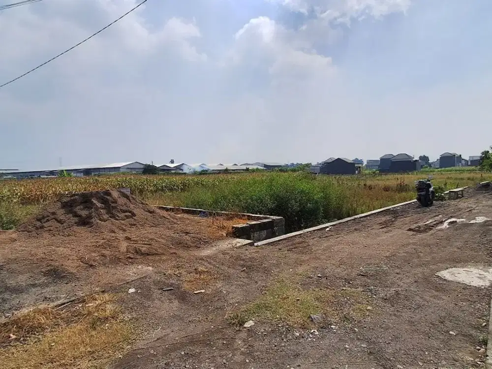 Tanah Murah Randupadangan Menganti Gresik Jual cpt B.U Poll L 2.730 m2