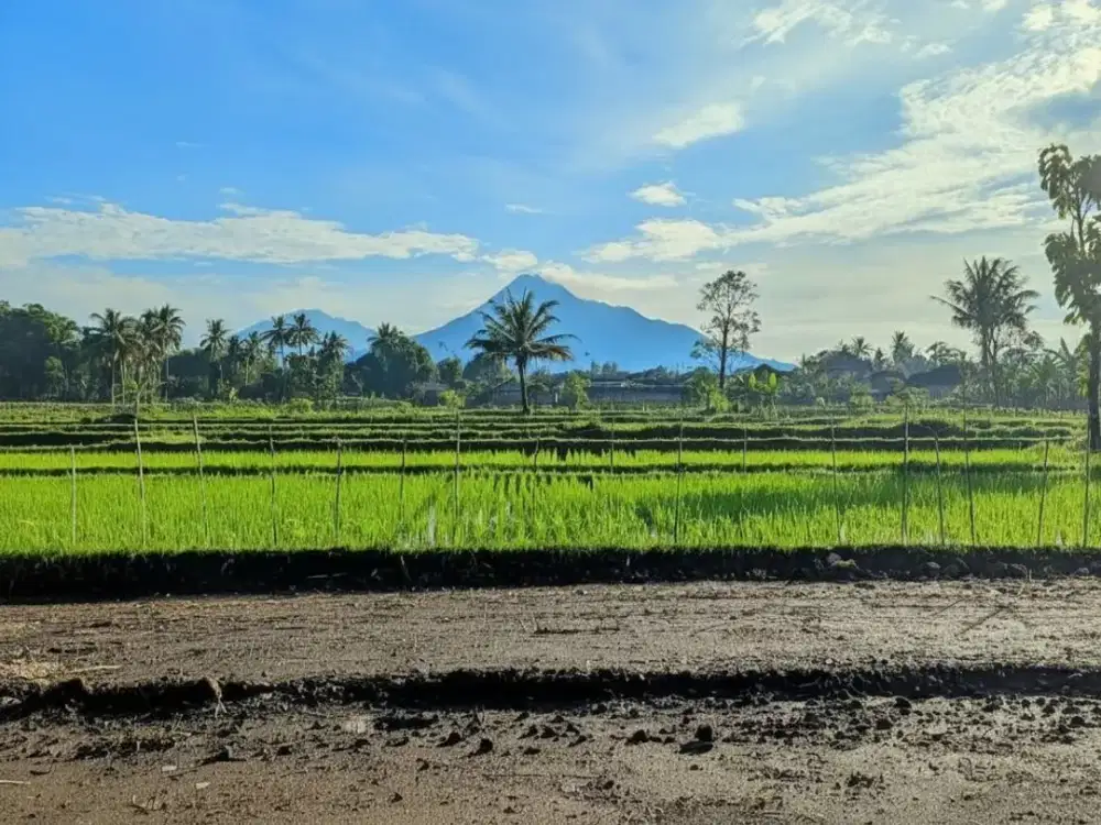 Tanah Palagan SHM View Sawah dan Merapi, 4 Menit RM Jejamuran