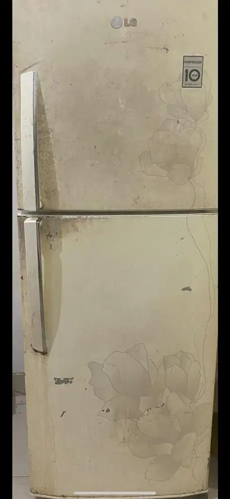 kulkas LG kotor aja bisa bersih