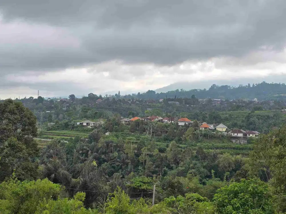 DI jual tanah view bukit.sawah  dan gunung di tabanan bali