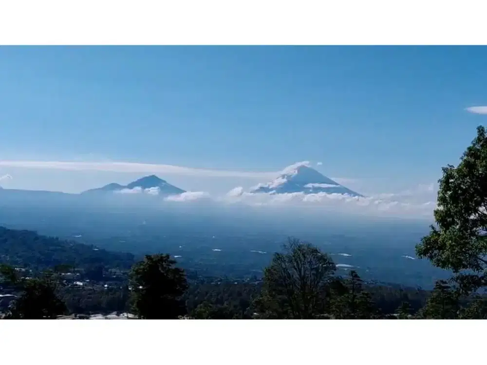 Dijual / freehold tanah di bedugul, tabanan - LSKT