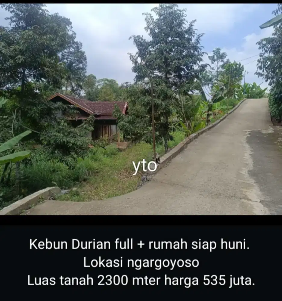 Jual kebun durian bonus rumah lokasi ngargoyoso lt 2300m hrg 535jt neg