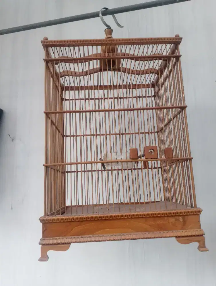 Kandang  burung kotak