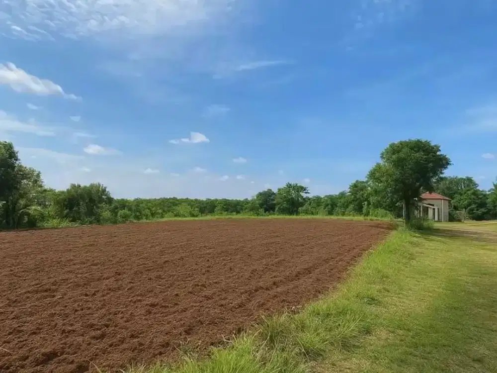 Jual Tanah Murah 40Jutaan 3 Tumbuk-an